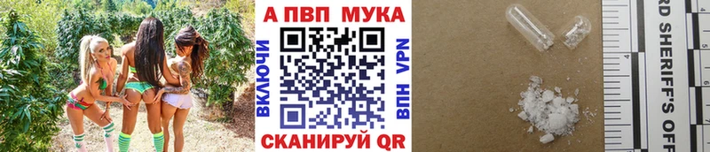 A-PVP СК КРИС  Россошь 