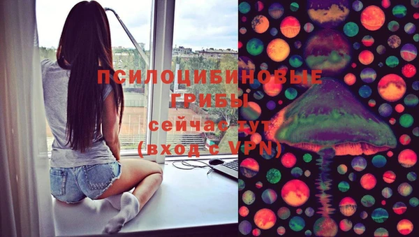 ПСИЛОЦИБИНОВЫЕ ГРИБЫ Аркадак