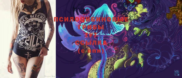 ПСИЛОЦИБИНОВЫЕ ГРИБЫ Аркадак